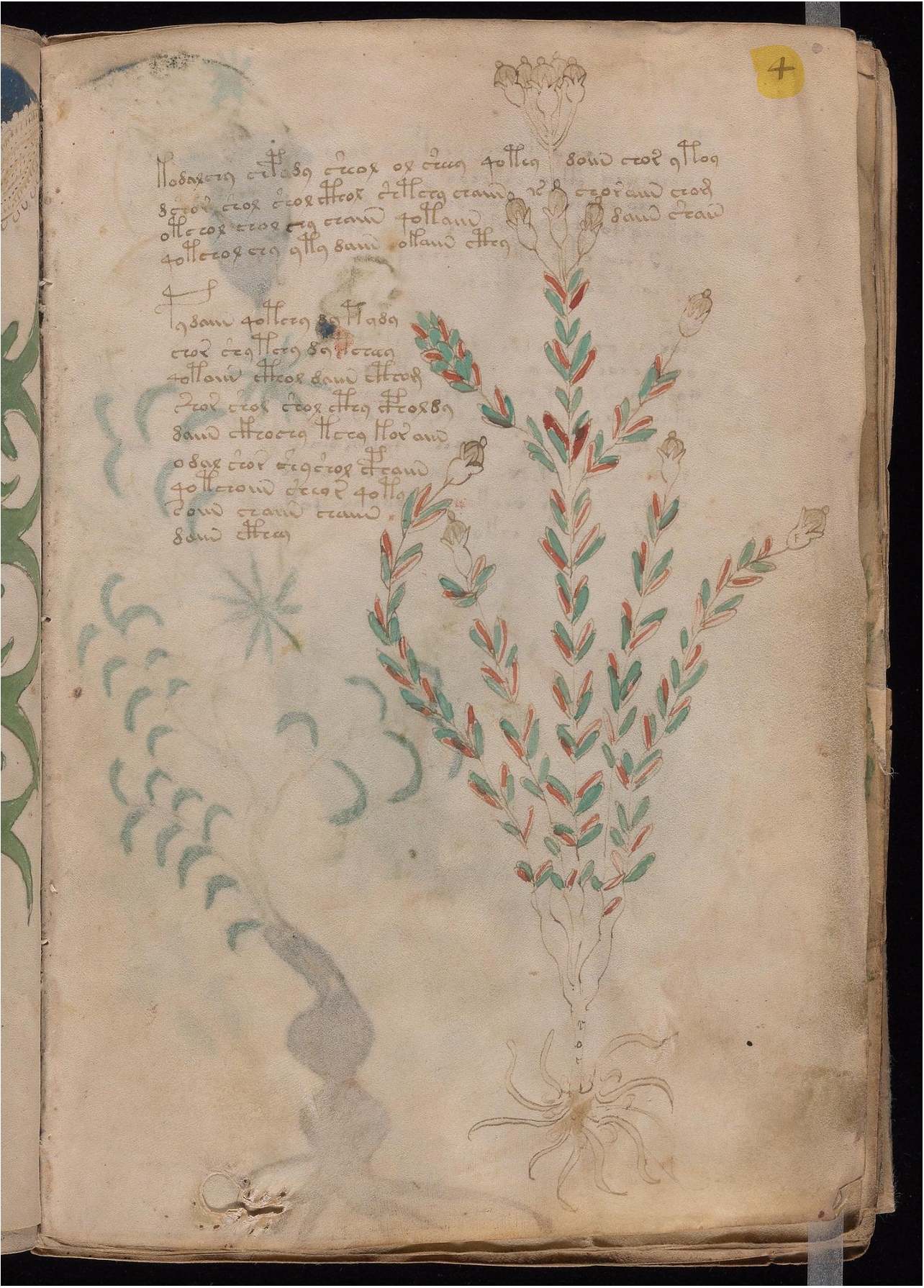 Original manuscript of Folio 4r